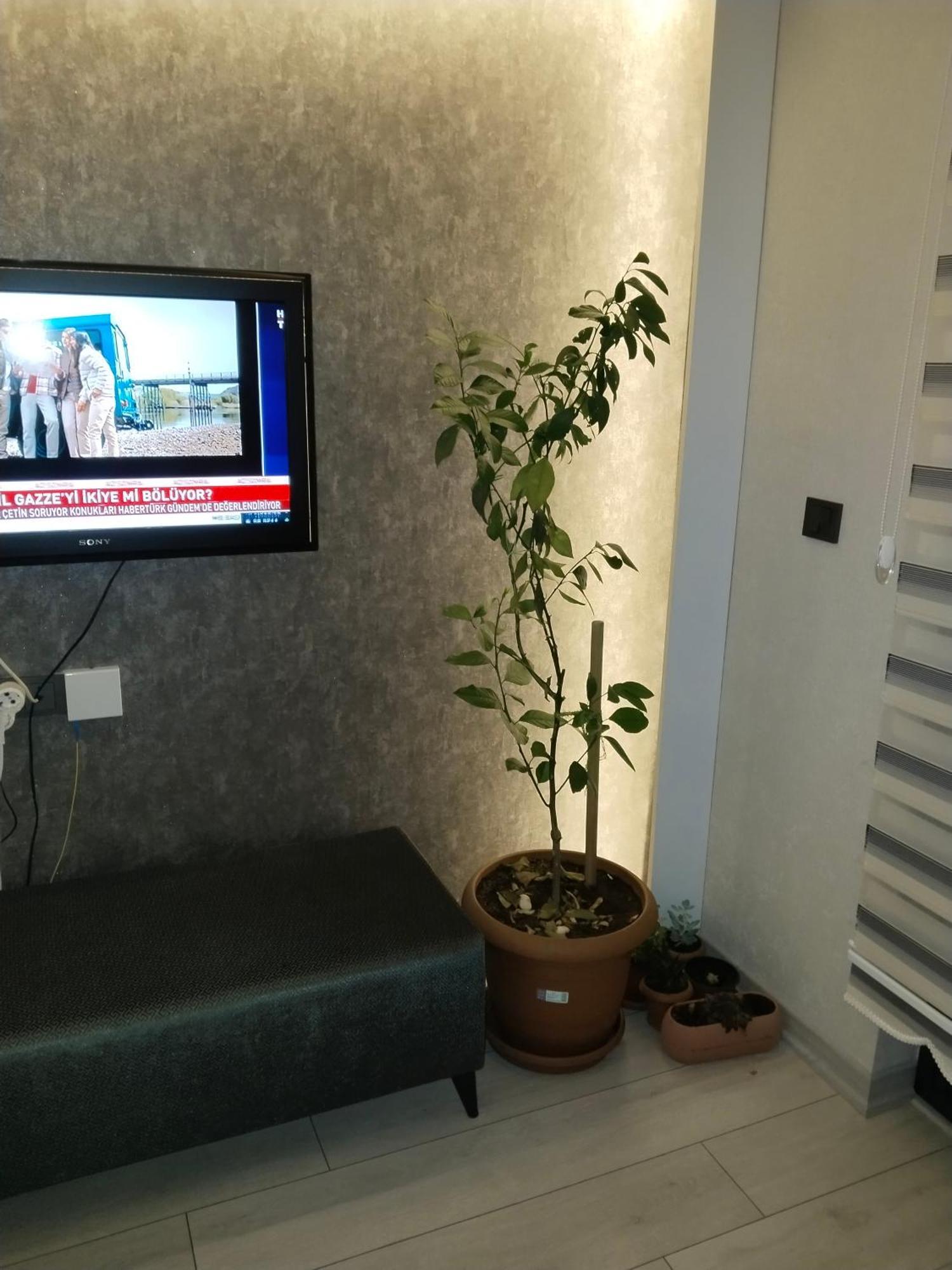 Ankara Esenboga Airport Luxury Rezidance Apart Экстерьер фото